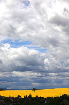 Landschap met bewolkte hemel