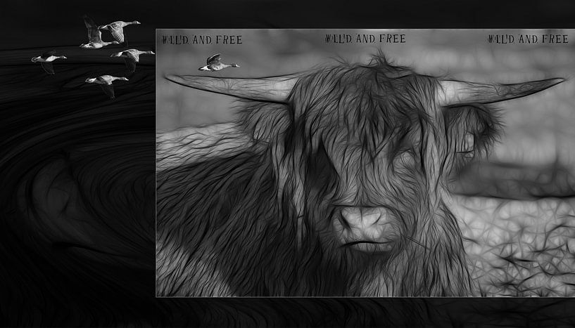 Cattle at rest by Carla van Zomeren