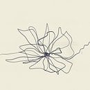 Blooming2 , digital one-line drawing by AnkieArt thumbnail