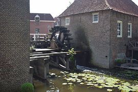 Borculo van Colinda De Vries - Trof