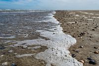 Strand von Vlieland