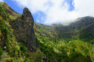 Bergen van Madeira sur Michel van Kooten