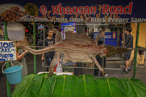 crocodile meat @ Bangkok, Thailand