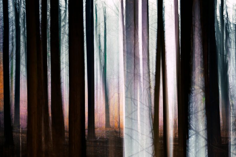 Mystische Bäume von Paula van den Akker