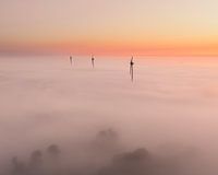 Beautiful foggy morning at Alkmaar, North Holland