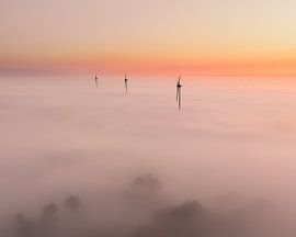 Beautiful foggy morning at Alkmaar, North Holland