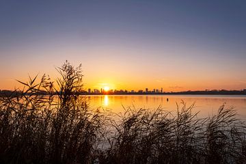 Schöner Sonnenuntergang über dem Kralingse Plas