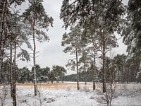 Kempener Landschaft im Winter