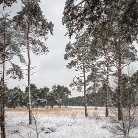 Kempener Landschaft im Winter von Inez VAN DE WEYER