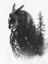 hibou à double exposition sur haroulita