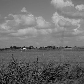Weide landschap Texel van Henk van der Sloot