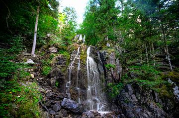 Waterfall in the Vosges Cascade de Battion in a forest landscape by Sjoerd van der Wal Photography