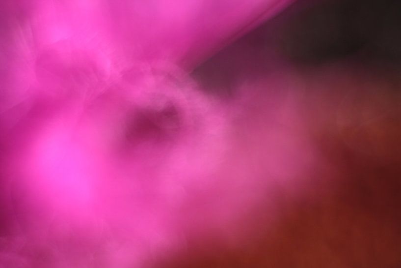 Pretty in pink by Wendy Schellekens