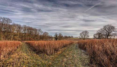 Tweesprong bij Baneheide
