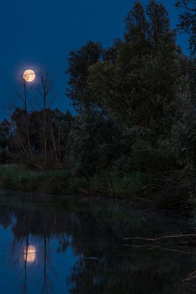 Full moon by Sander Strijdhorst