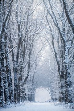 Corridoor van Léontine Lamers