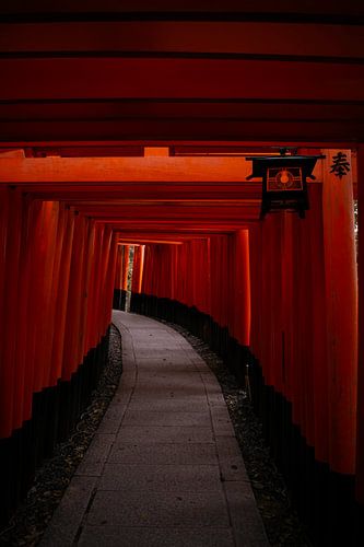 Fushimi Inari - Japan
