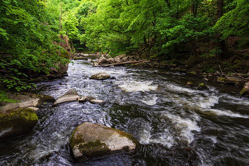 Landscape with river in the Harz mountains, Germany