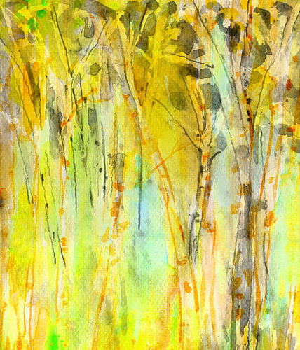 Birch Charm