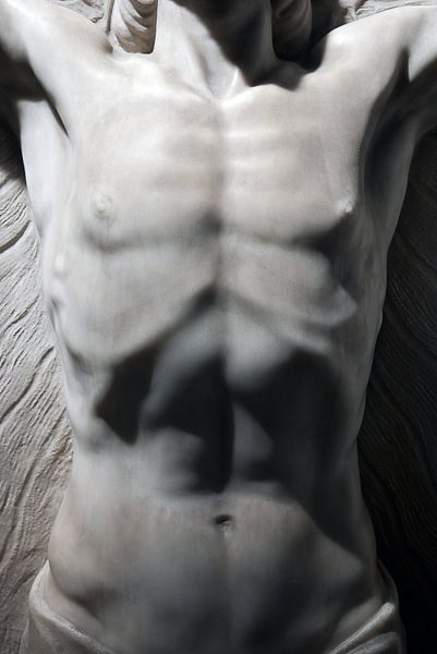 Torso by Willem Havenaar