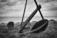 Rusty anchor at the edge of the Oosterschelde