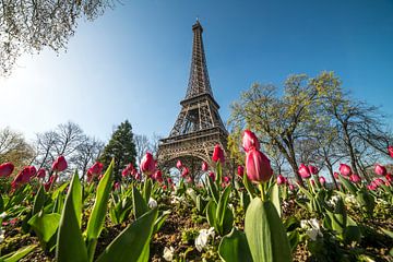 Eiffeltoren in Parijs, van Peter Schickert