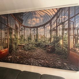 Customer photo: The abandoned greenhouse by Frans Nijland, on ArtFrame
