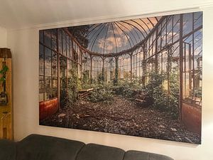 Das verlassene Gewächshaus