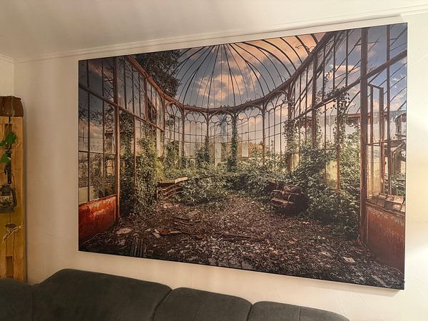 Das verlassene Gewächshaus