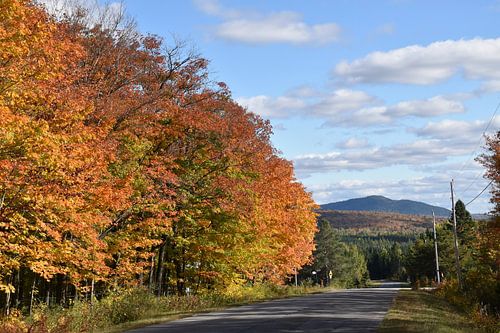 La route du village à l'automne