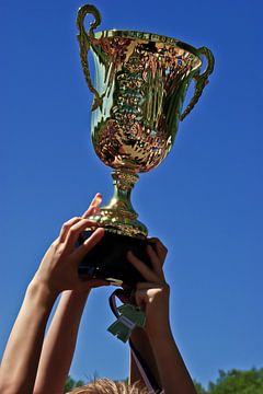 The trophy for the winner! by Norbert Sülzner