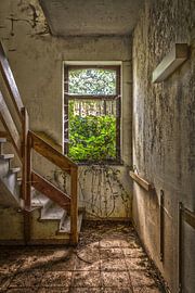 Nature comes crawling in... von Tom Opdebeeck