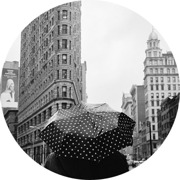 Flatiron Regenachtige Dag II