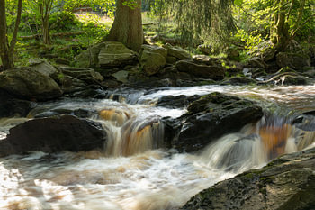 Het wilde water van de Roer