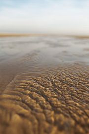 Schiermonnikoog - Aux alentours du solstice d'hiver, plage de la mer du Nord