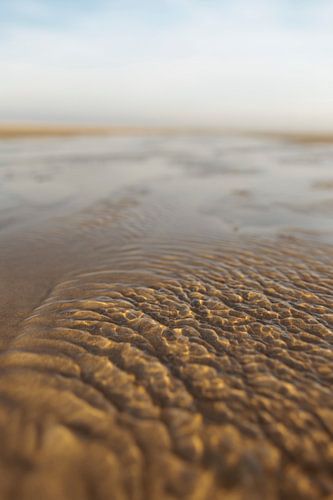 Schiermonnikoog - Rond de kortste dag, Noordzeestrand