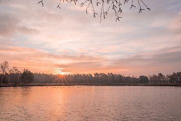 Sonnenaufgang an einem Moor in der Heide mit kanadischen Gänsen von John van de Gazelle fotografie