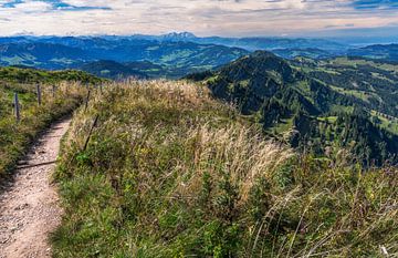 Wanderweg auf dem Hochgrat bei Oberstaufen im Allgäu von ManfredFotos