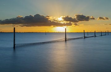 Fuiken in het Markermeer  van Menno Schaefer