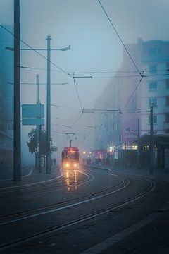 Brunswijk in de mist van Friederike Fuchs