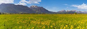 Frühling im Allgäu
