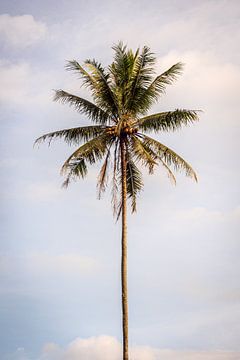 Palm tree in Bali by Ellis Peeters