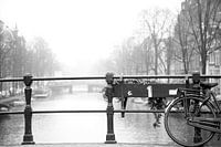 Amsterdamse grachten ZW