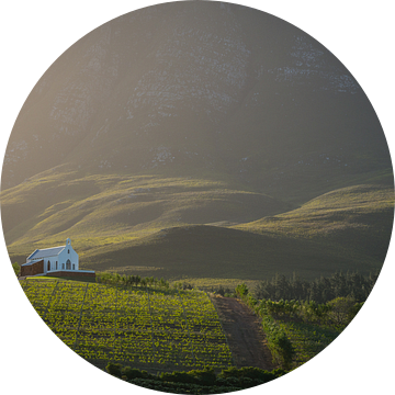 Idyllische wijngaard in de heuvels van Hemel en Aarde vallei in Zuid-Afrika van Teun Janssen