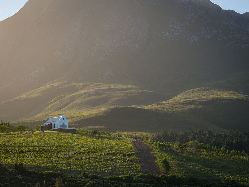 Vignoble idyllique dans les collines de la vallée du Ciel et de la Terre en Afrique du Sud par Teun Janssen