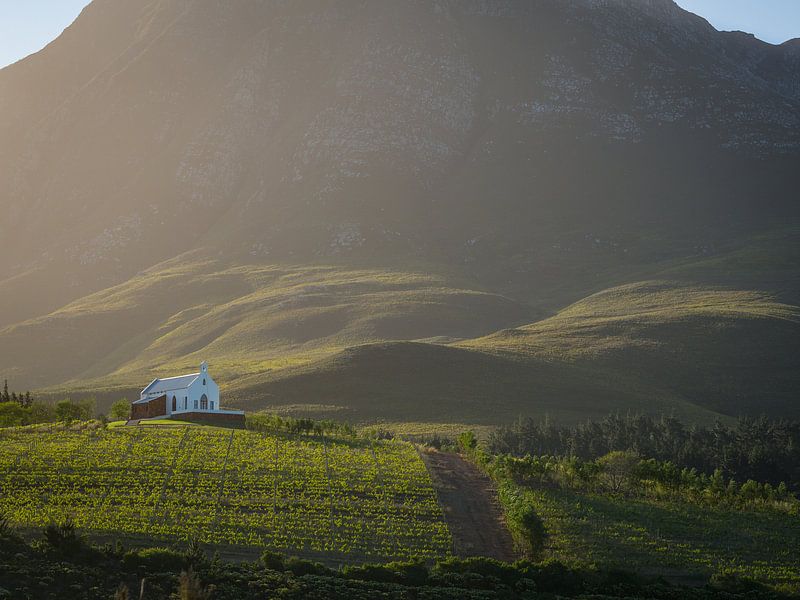 Idyllische wijngaard in de heuvels van Hemel en Aarde vallei in Zuid-Afrika van Teun Janssen