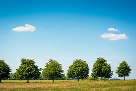 Landidyll sur l'île d'Usedom sur Martin Wasilewski