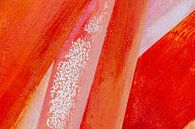 Oranje paden van Patty Elferink thumbnail