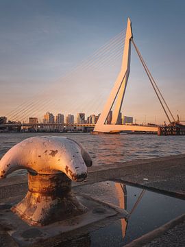 Erasmusbrug in Rotterdam trijdens de zonsondergang van Jolanda Aalbers