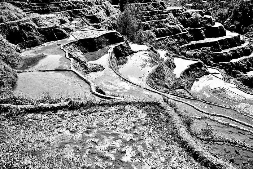 Die Reisfelder von Banaue in Schwarz-Weiß von Frank Photos